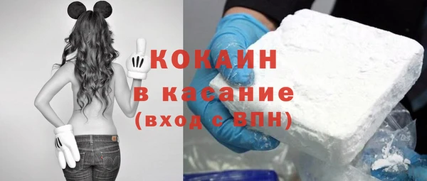 сатива Алзамай
