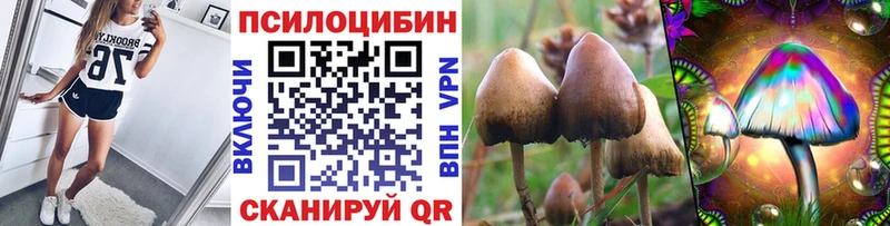 маркетплейс как зайти  omg ссылка  Миньяр  Галлюциногенные грибы Magic Shrooms 